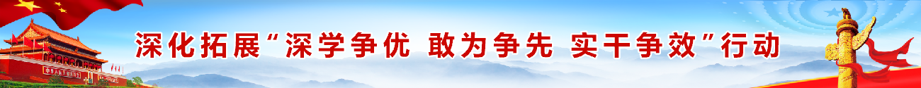 深化拓展“深學爭優 敢為爭先 實干爭效”行動
